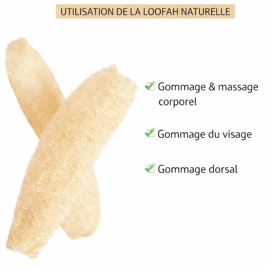 ÉPONGE GOMMAGE égyptienne