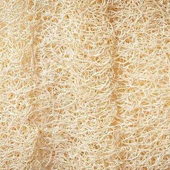 ÉPONGE GOMMAGE égyptienne