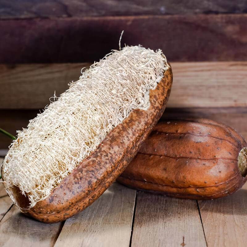 ÉPONGE GOMMAGE égyptienne